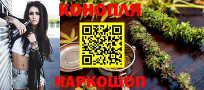 крисы Коммунар