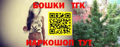 крисы Коммунар