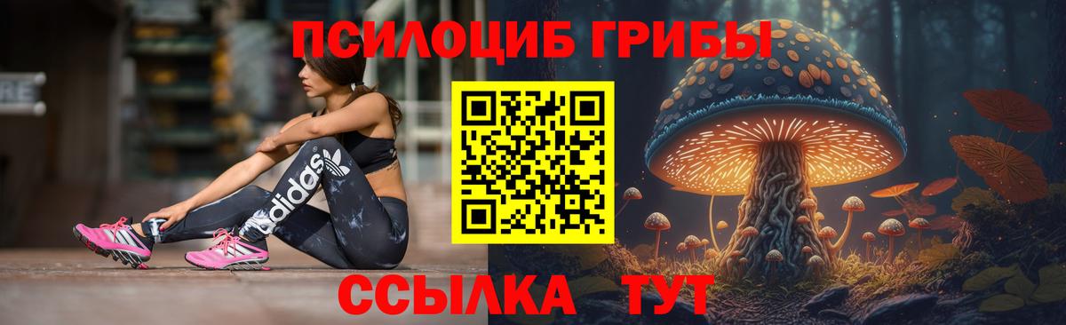 Галлюциногенные грибы прущие грибы Орехово-Зуево